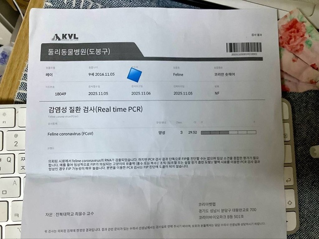 레이치료일기 (절망에서 기적을 선물받다)