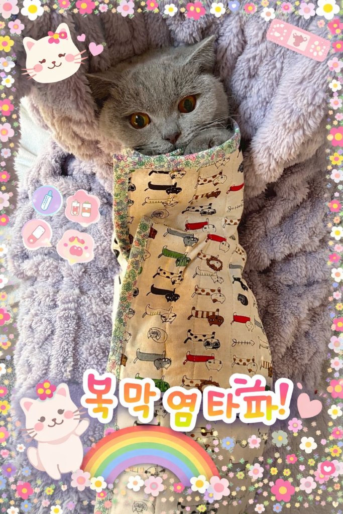 DRY FIP | 채시루, 건식 복막염과 싸워 이기다! (Chapter 1)