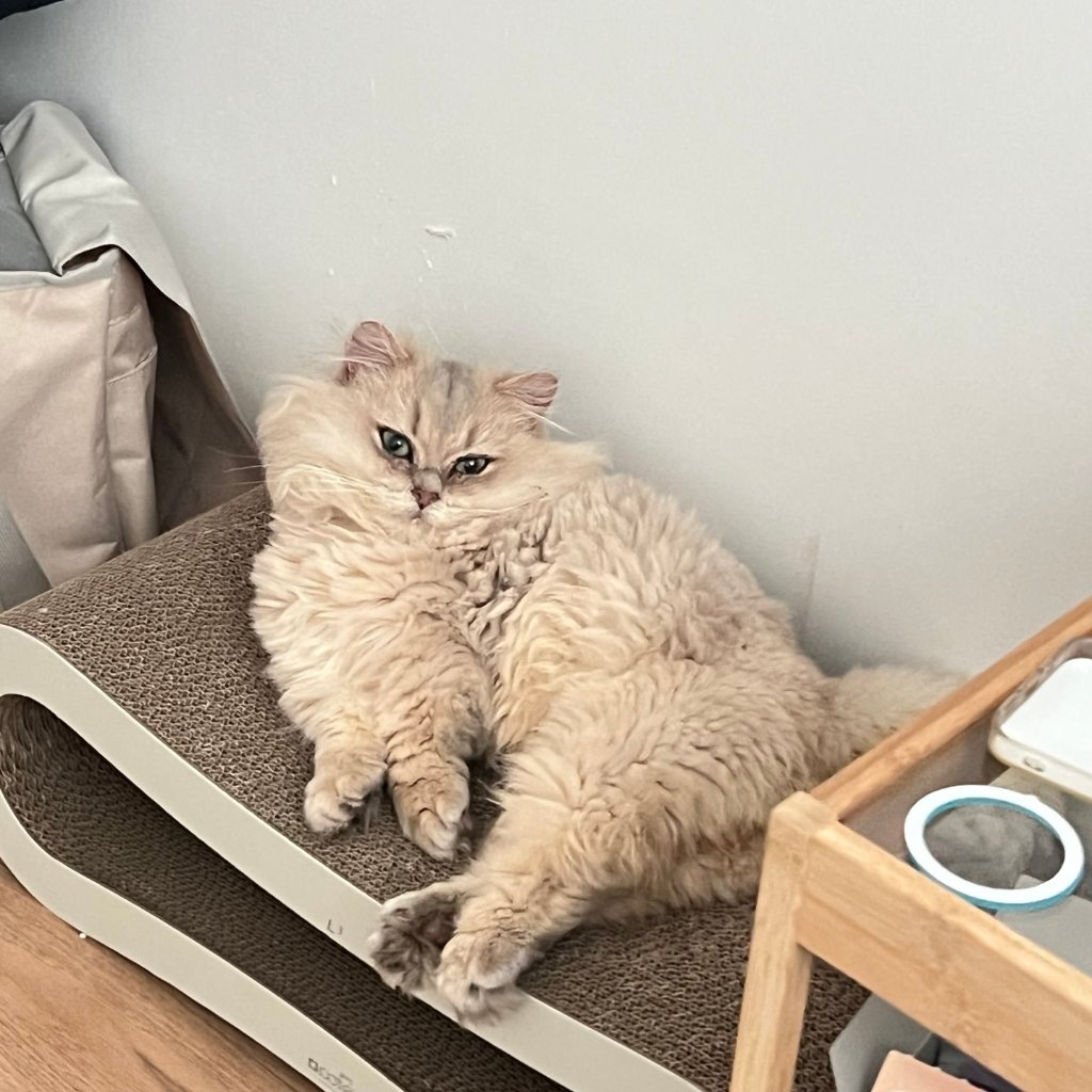 F66_KakaoTalk_20250425_135411399.jpg