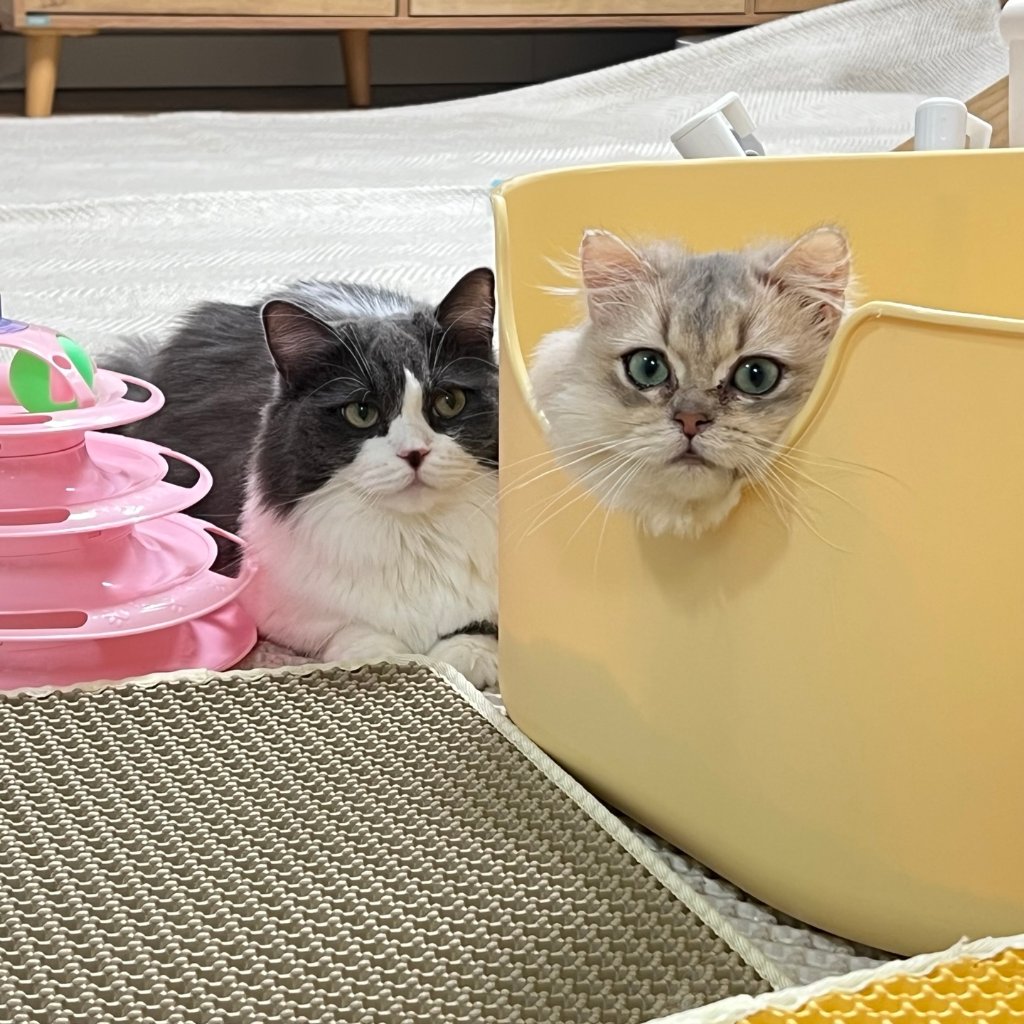 F65_KakaoTalk_20250425_135258063.jpg