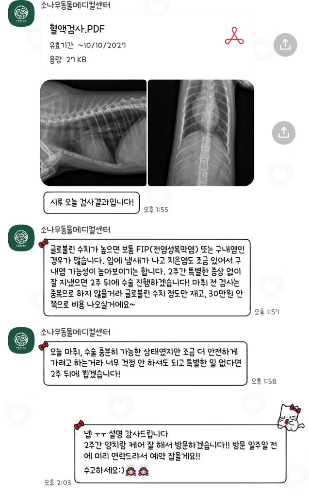 F236_KakaoTalk_20260319_132641385_02.jpg