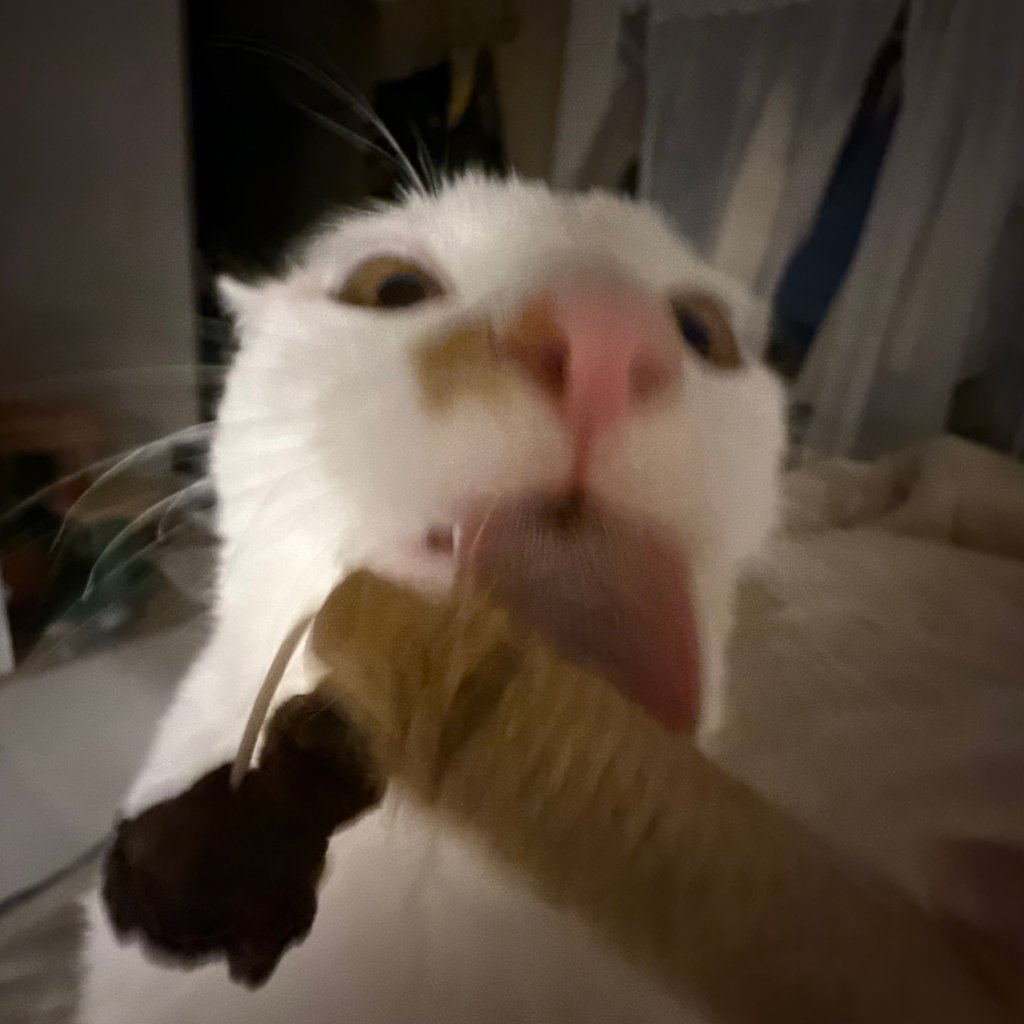 F339_IMG_5166.jpeg