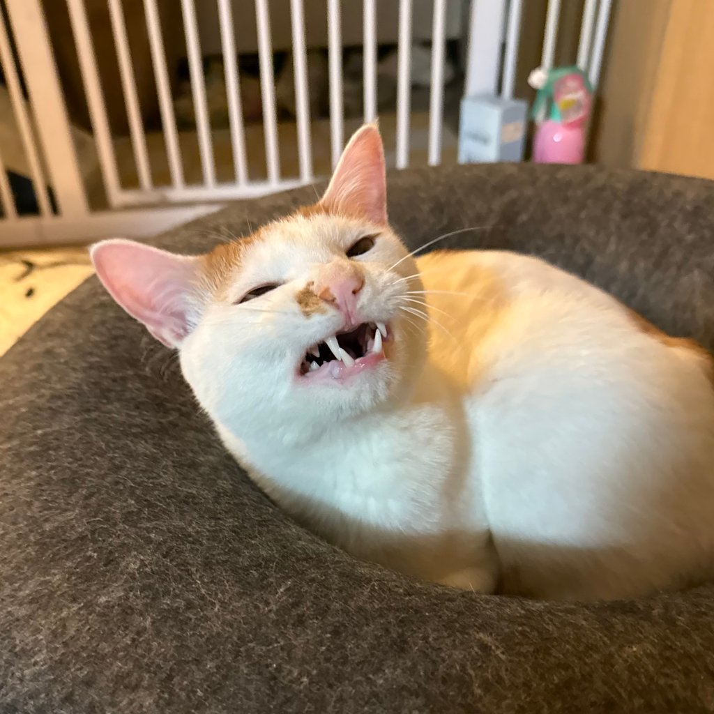 F340_IMG_0046.jpeg