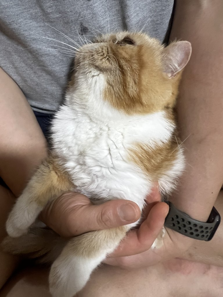 F100_IMG_0686.jpeg