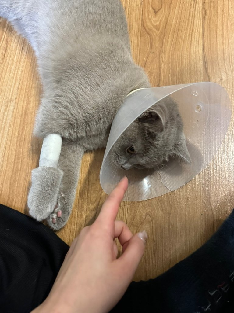 F241_KakaoTalk_20260319_131110251_29.jpg