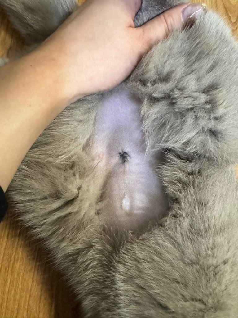 F242_KakaoTalk_20260319_131110251_27.jpg