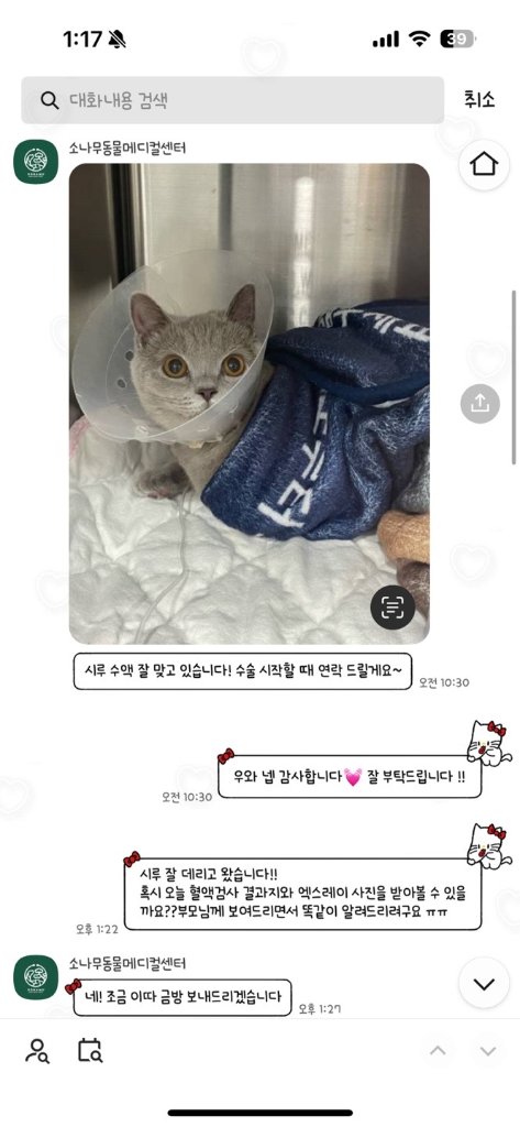 F240_KakaoTalk_20260319_132641385.jpg