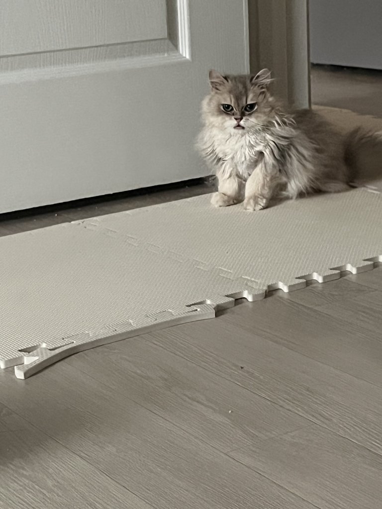 F204_IMG_4754.jpeg