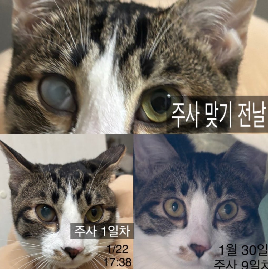 F44_KakaoTalk_Photo_2025-04-24-15-48-48 001.jpeg
