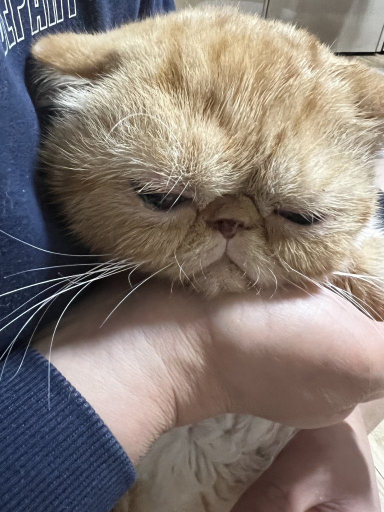 F107_IMG_0831.jpeg
