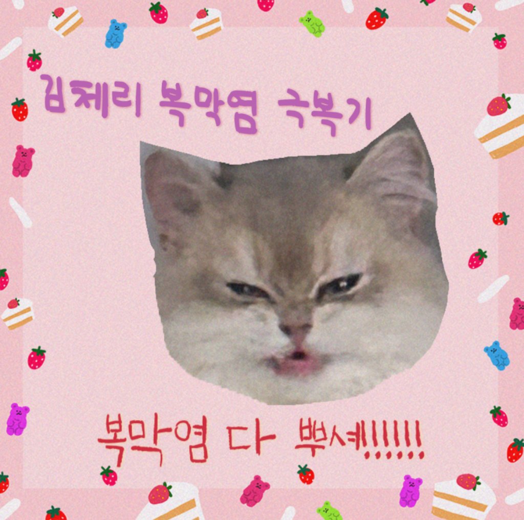 김체리의 복막염 극복기2