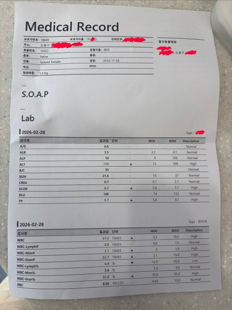 F182_연장 4주2.jpg