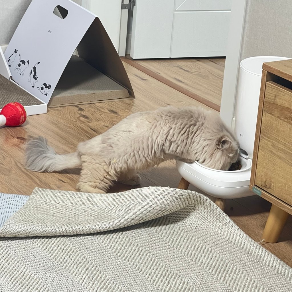F67_KakaoTalk_20250425_135342015.jpg