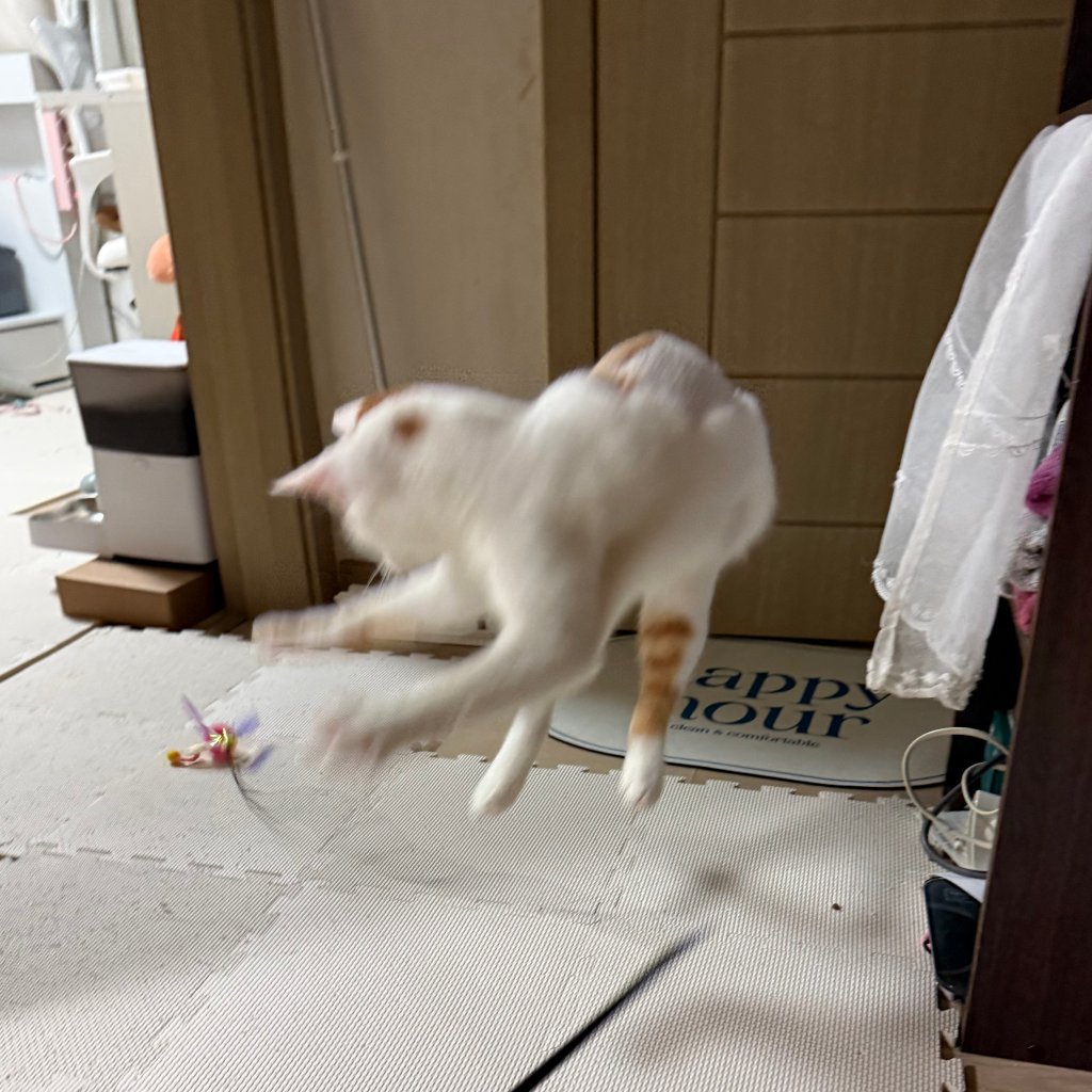 F337_IMG_4889.jpeg