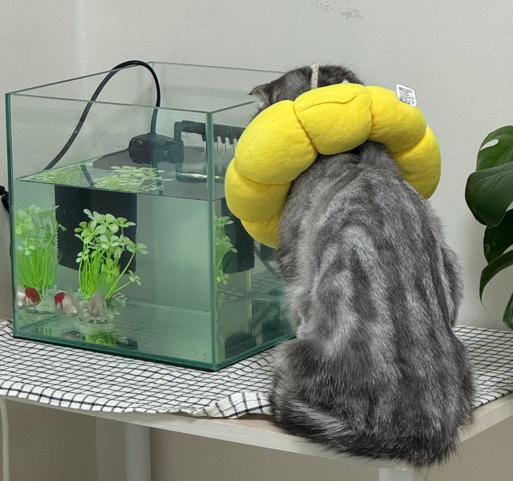 F169_KakaoTalk_20260227_110219803.jpg