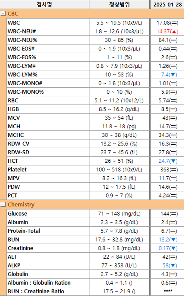 F30_루루_혈액검사_250128_1.png