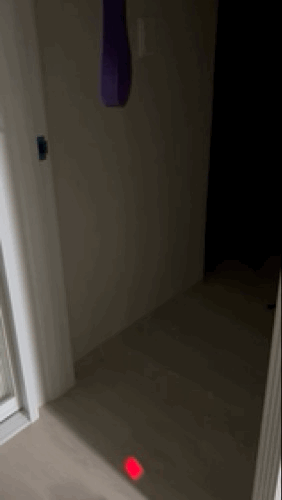 F218_IMG_5779.gif