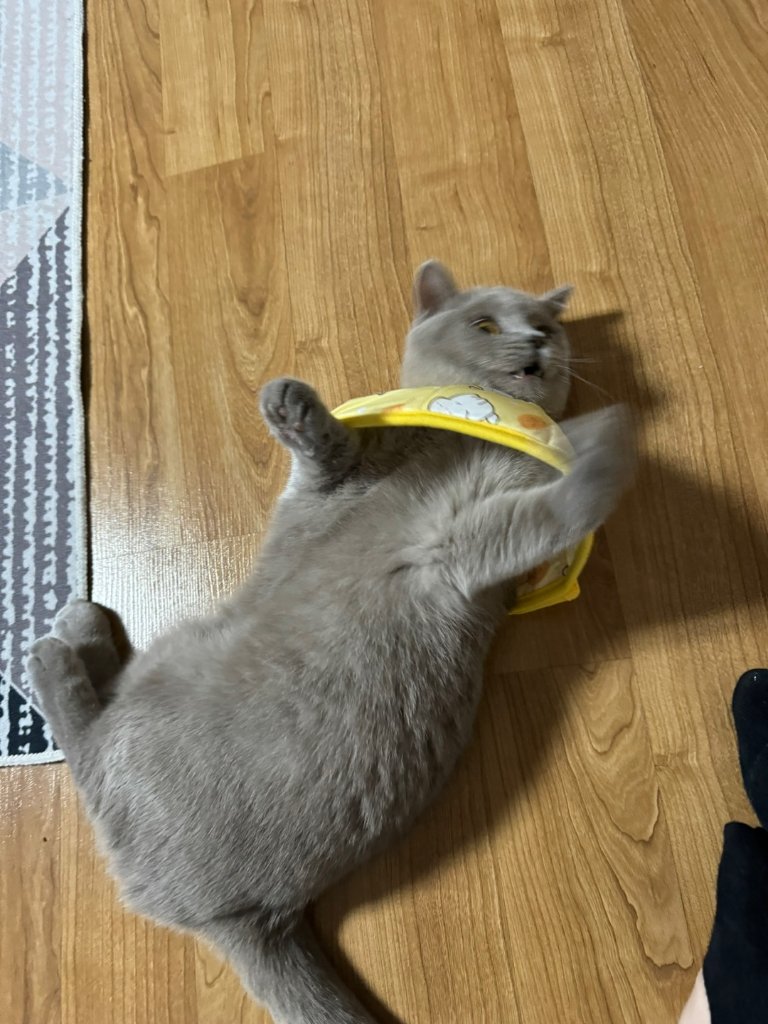 F244_KakaoTalk_20260319_131111972_05.jpg