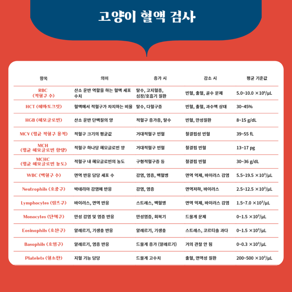 F36_KakaoTalk_20250422_174904380.png