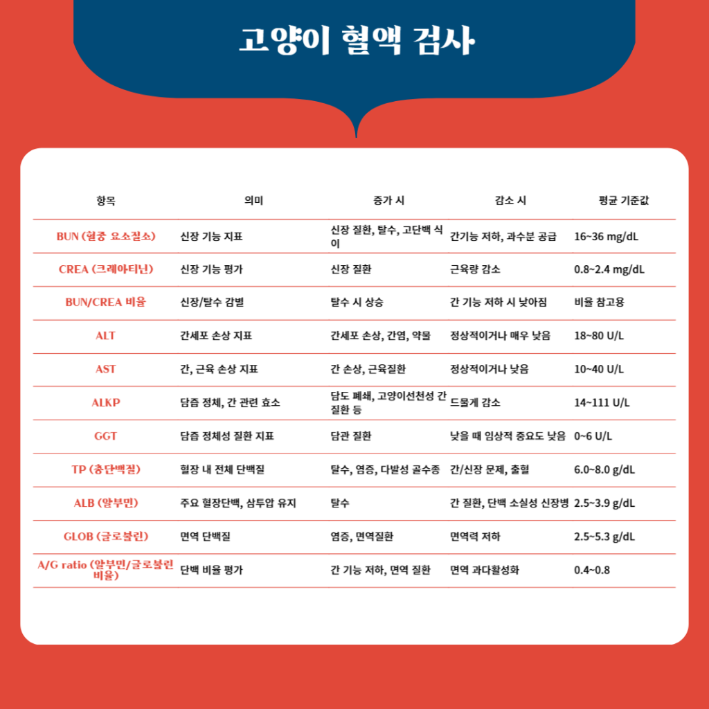 F37_KakaoTalk_20250422_174907301.png