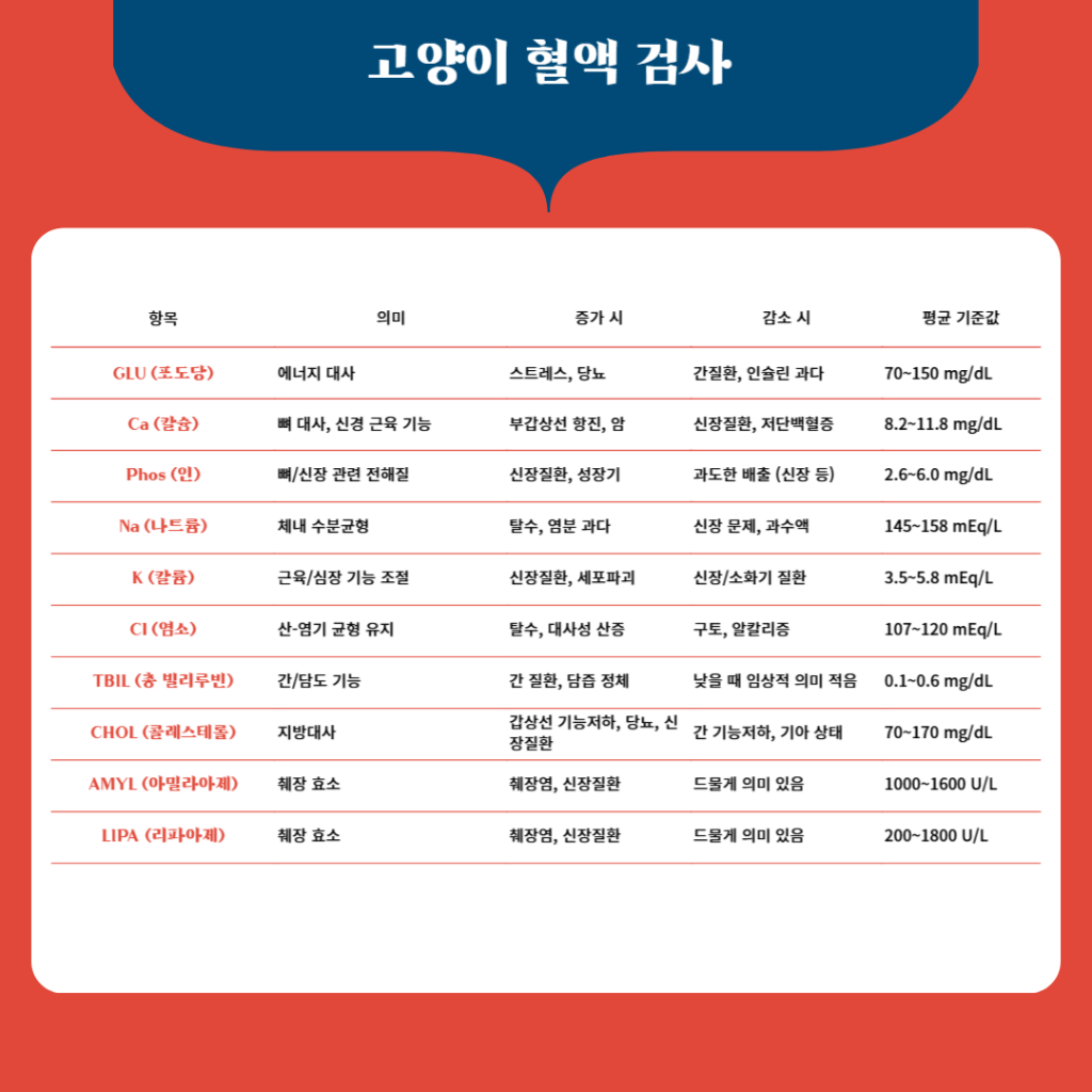 F38_KakaoTalk_20250422_174910015.png
