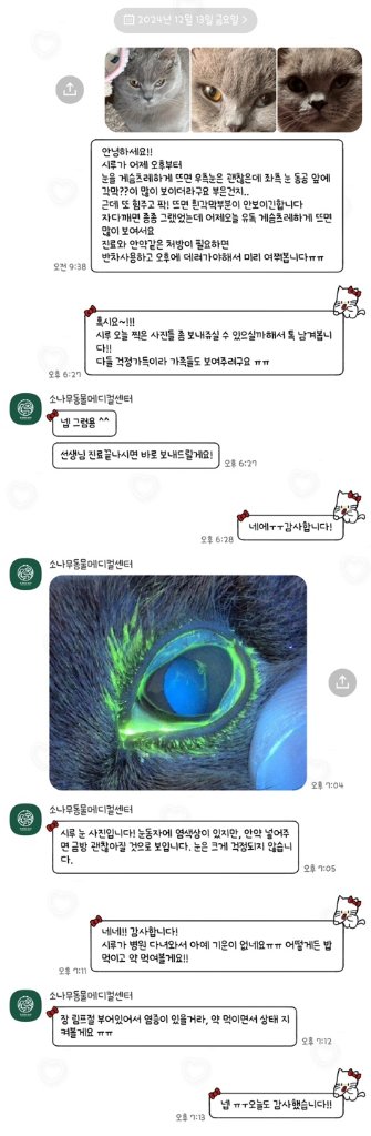KakaoTalk_20260319_132641385_10.jpg