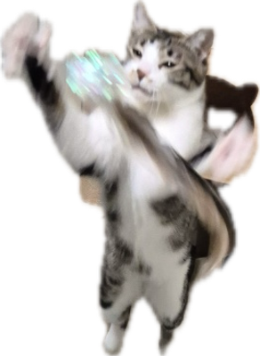 김꽁치