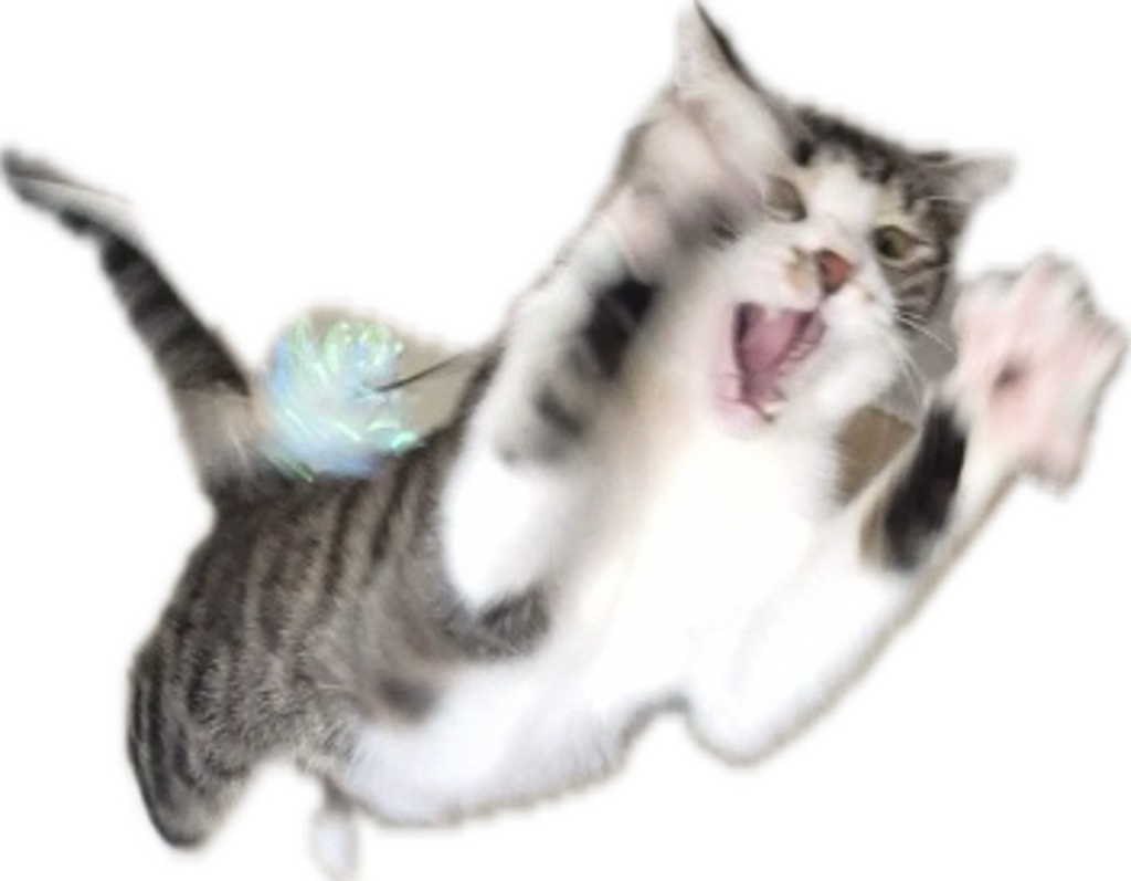 IMG_0606.PNG