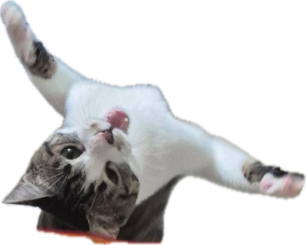 IMG_0607.PNG