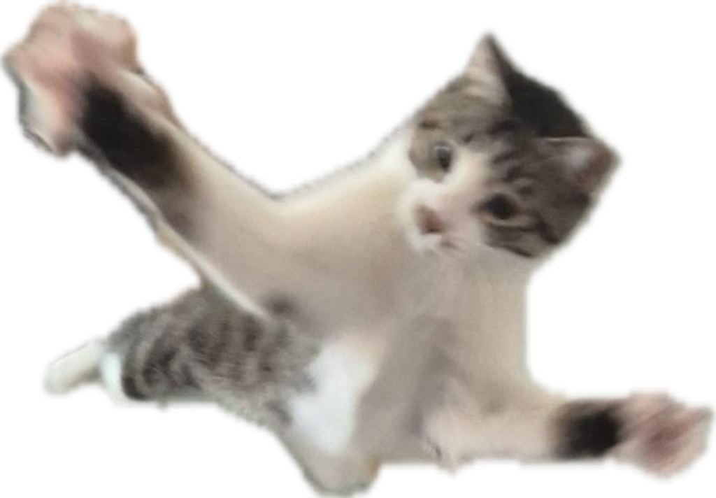 IMG_0605.PNG