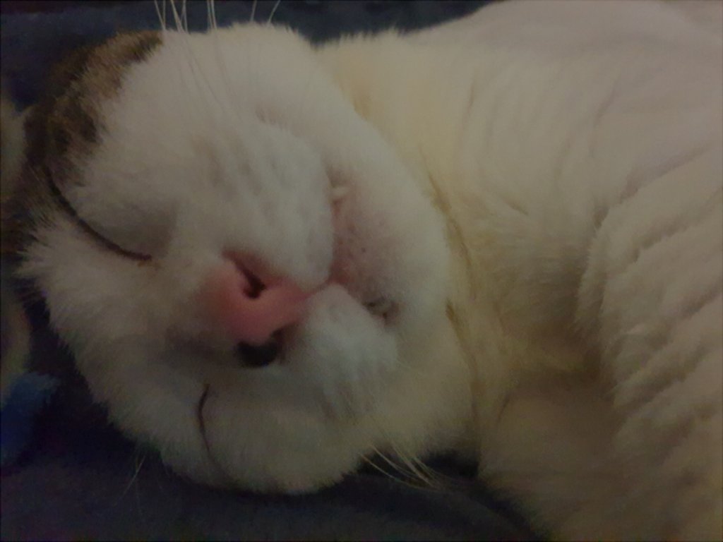 KakaoTalk_20260815_063640692.jpg