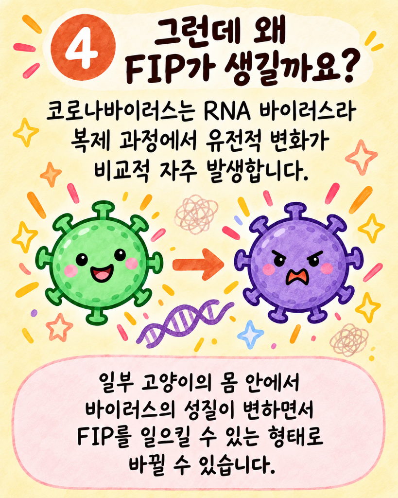 모카5.png