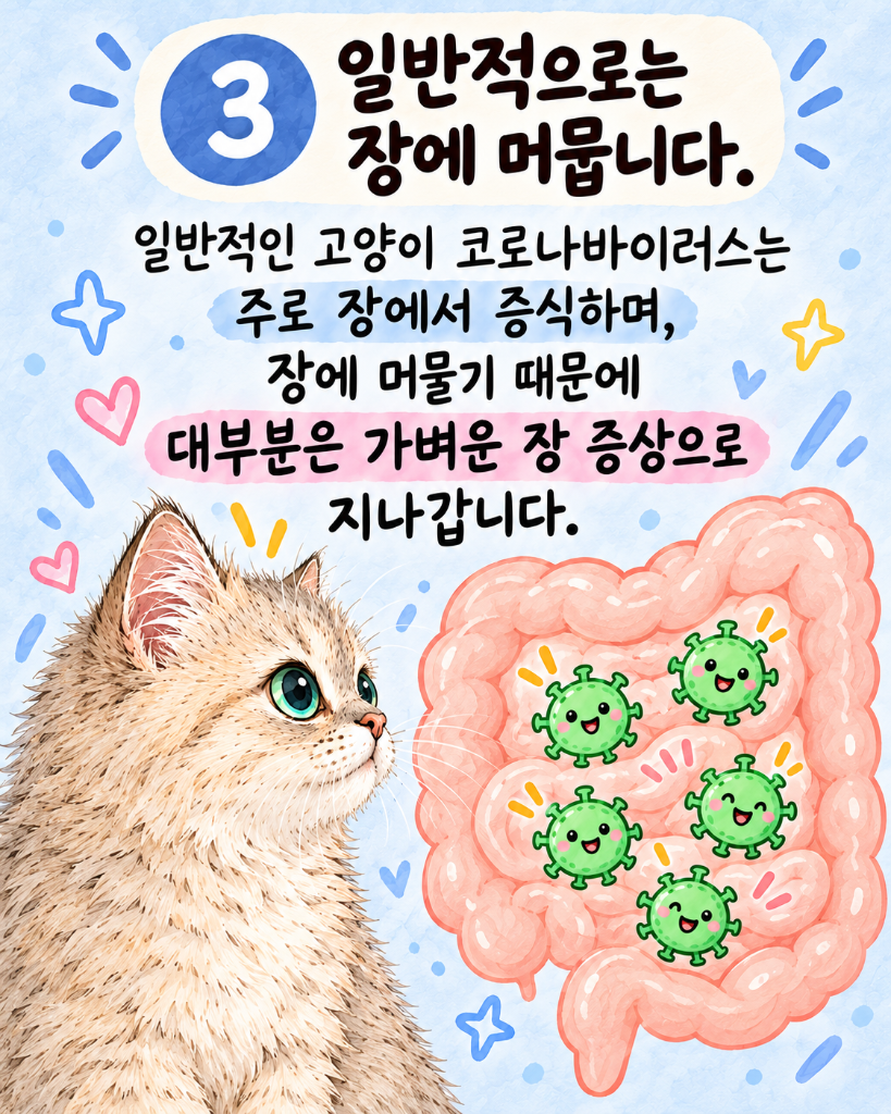 모카4.png