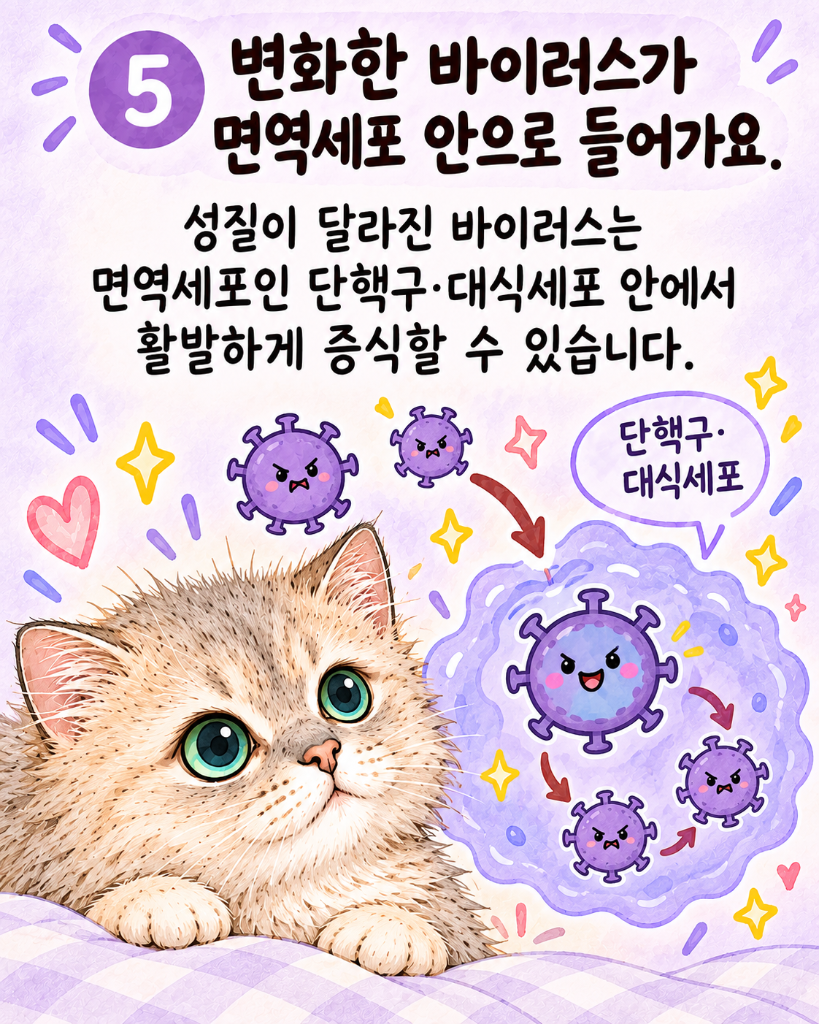 모카6.png