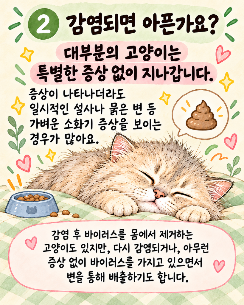 모카3.png