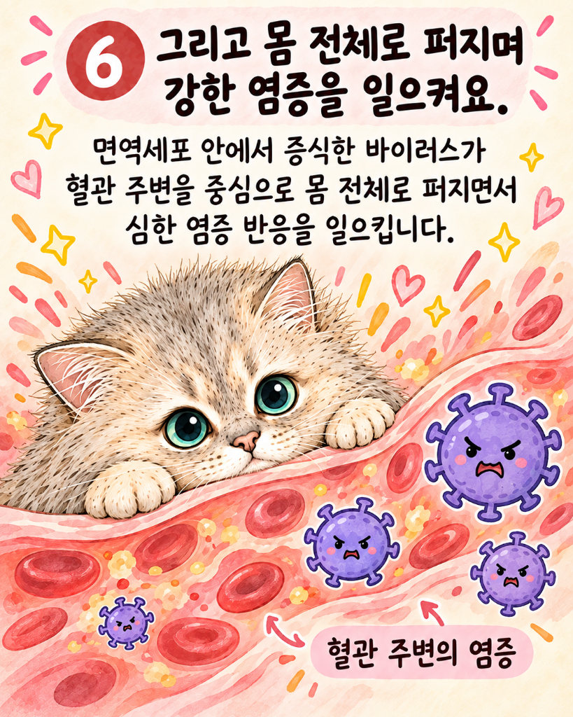모카8.png