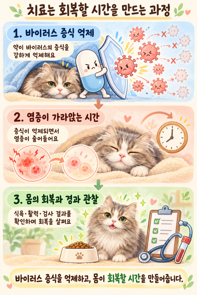 d594fa34-968b-4f4c-b2e0-549961b29698.png