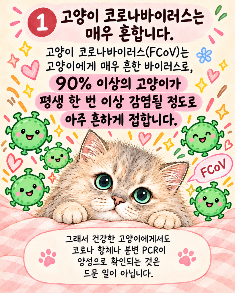모카2.png