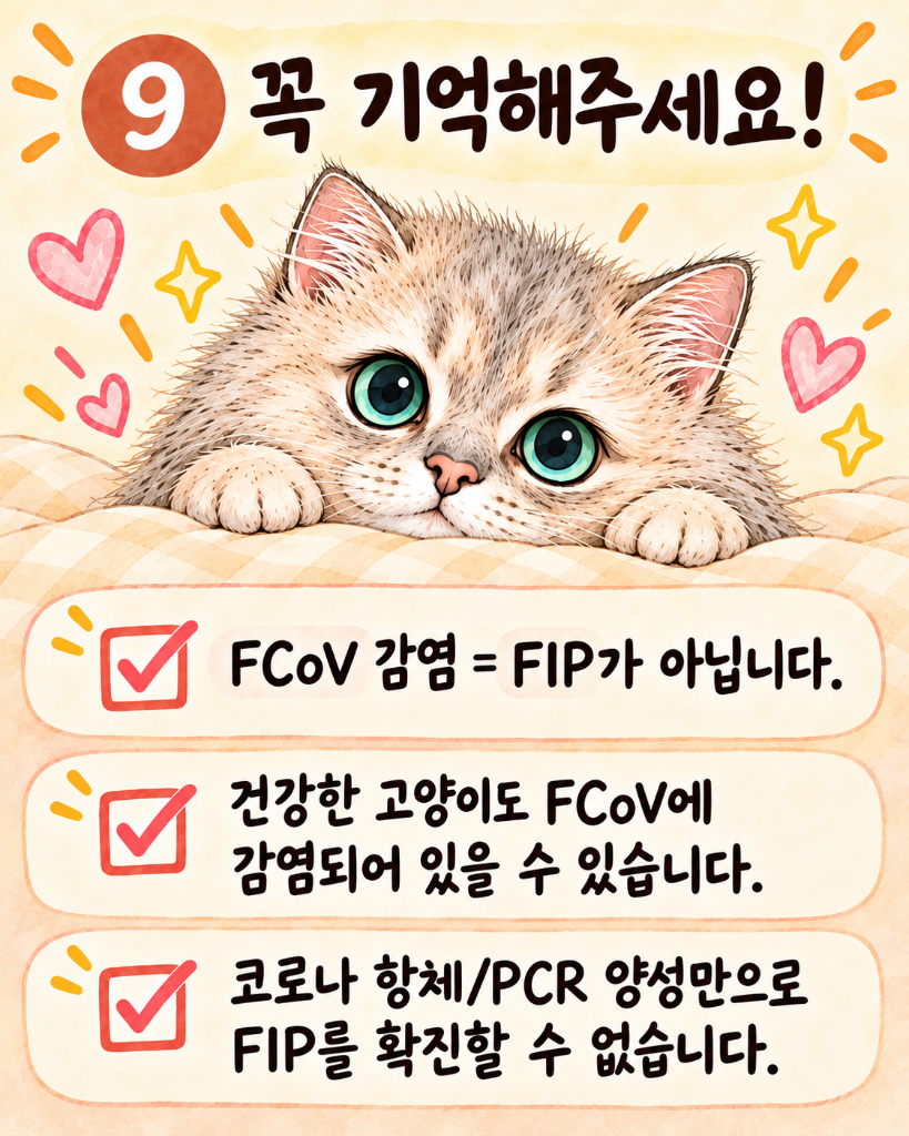모카11.png