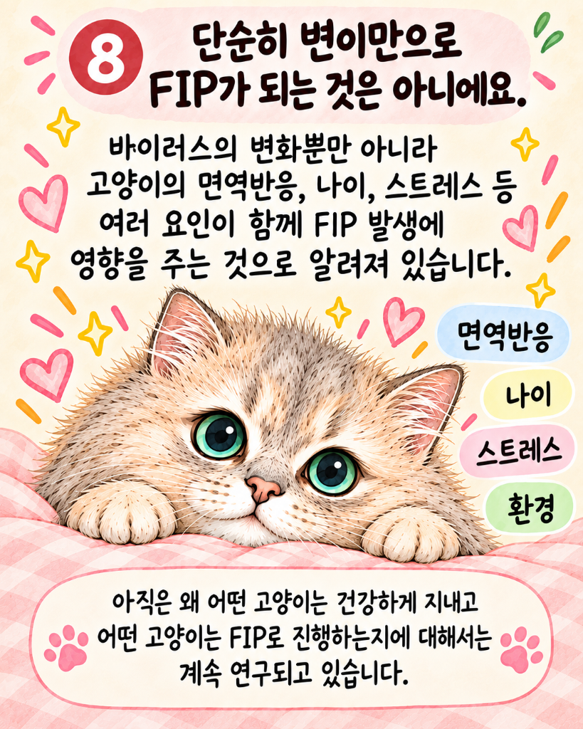 모카10.png